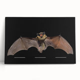 Stretched canvas wall art featuring a detailed bat design, showcasing intricate patterns and textures in earthy tones, perfect for wildlife enthusiasts' decor.