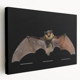 Stretched canvas wall art featuring a striking bat design in vibrant colors, showcasing intricate details and a modern aesthetic, perfect for wildlife enthusiasts.
