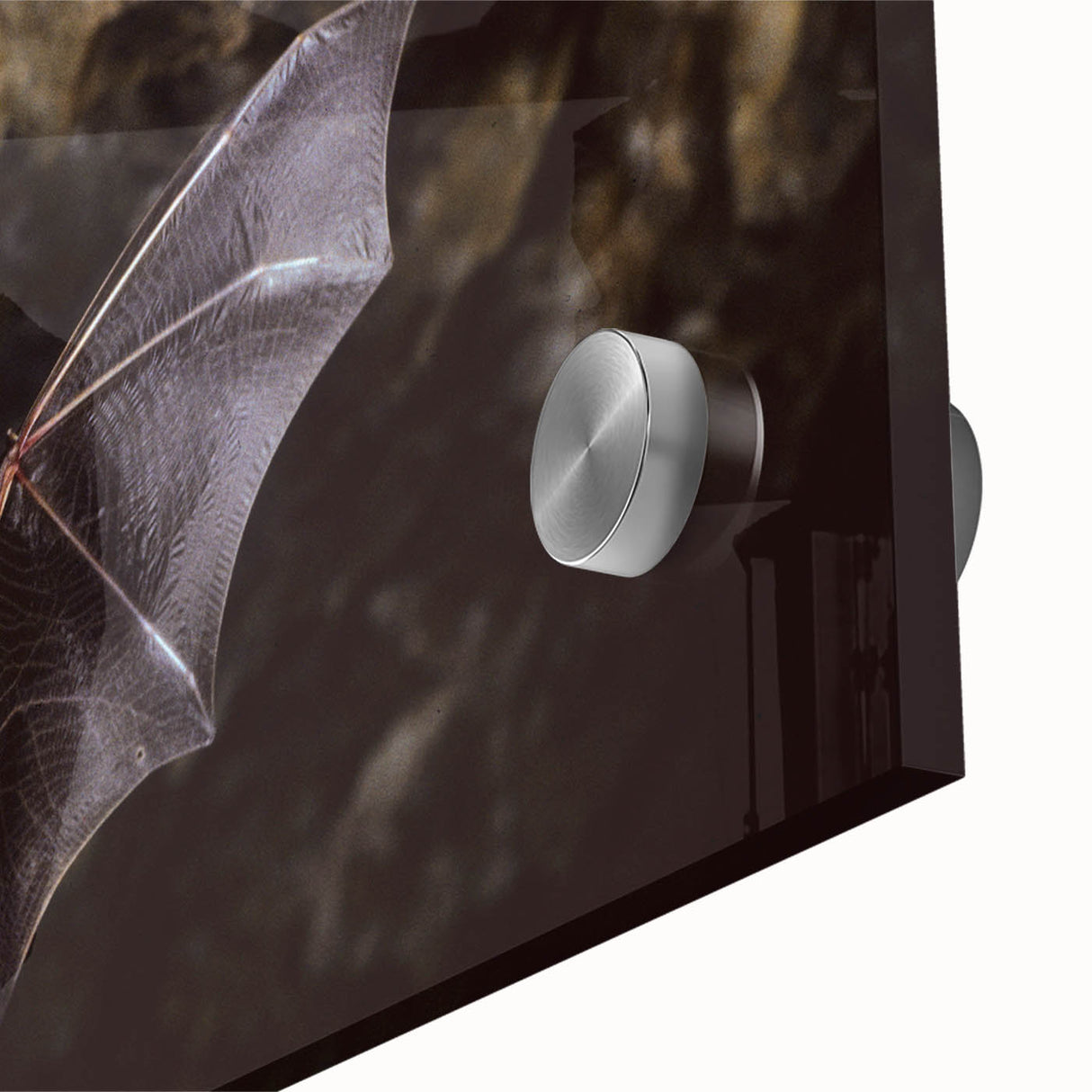 Close-up of a vibrant acrylic wall art piece showcasing a detailed bat design, highlighting intricate textures and rich colors, perfect for wildlife enthusiasts.