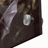 Close-up of a vibrant acrylic wall art piece showcasing a detailed bat design, highlighting intricate textures and rich colors, perfect for wildlife enthusiasts.