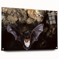 Acrylic wall art collection featuring a unique bat design, displayed in a sleek side view with decorative pins, perfect for animal-themed home decor.