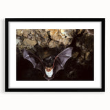 Framed wall art showcasing a bat design in a striking black frame, featuring intricate details and a modern aesthetic, perfect for wildlife enthusiasts and home decor.