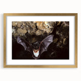 Gold-framed wall art collection featuring a bat design, elegantly matted for a sophisticated look, perfect for enhancing wildlife-themed decor.