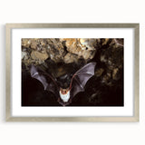 Silver-framed wall art featuring a bat design from the "Animals: A Wild Life" collection, elegantly matted to enhance its artistic appeal. Perfect for animal lovers and home decor enthusiasts.