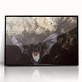 Framed acrylic wall art featuring a stylish bat design, showcasing intricate details on a sleek black background, perfect for wildlife enthusiasts and modern decor.