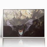 Framed wall art showcasing a bat design with intricate details, set against a white background, perfect for wildlife enthusiasts and modern home decor.