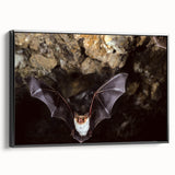 Framed canvas wall art showcasing a unique bat design, featuring intricate details and a sleek black frame, perfect for wildlife enthusiasts and modern decor.