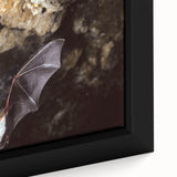 Close-up of a framed canvas wall art featuring a detailed bat design, showcasing intricate textures and a vibrant color palette, perfect for wildlife enthusiasts.