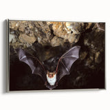 Framed wall art showcasing a detailed bat design in silver tones, part of the "Animals A Wild Life" collection, elegantly displayed from a side view.