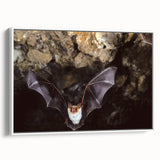 Framed canvas wall art showcasing a bat design from the Animals A Wild Life collection, featuring a white background, ideal for nature-themed decor.
