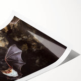Bat design wall art print featuring intricate details and a vibrant color palette, showcasing wildlife-themed decor perfect for nature enthusiasts.