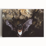 Stretched canvas artwork showcasing a detailed bat design, featuring vibrant colors and intricate patterns, ideal for wildlife-themed decor and art collectors.