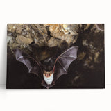 Stretched canvas wall art featuring a unique bat design, showcasing intricate details and vibrant colors, perfect for wildlife enthusiasts and home decor.