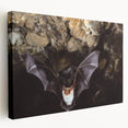 Stretched canvas wall art showcasing a vibrant bat design from the "Animals A Wild Life" collection, featuring rich colors and intricate details, perfect for animal lovers.