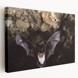 Stretched canvas wall art showcasing a vibrant bat design from the "Animals A Wild Life" collection, featuring rich colors and intricate details, perfect for animal lovers.