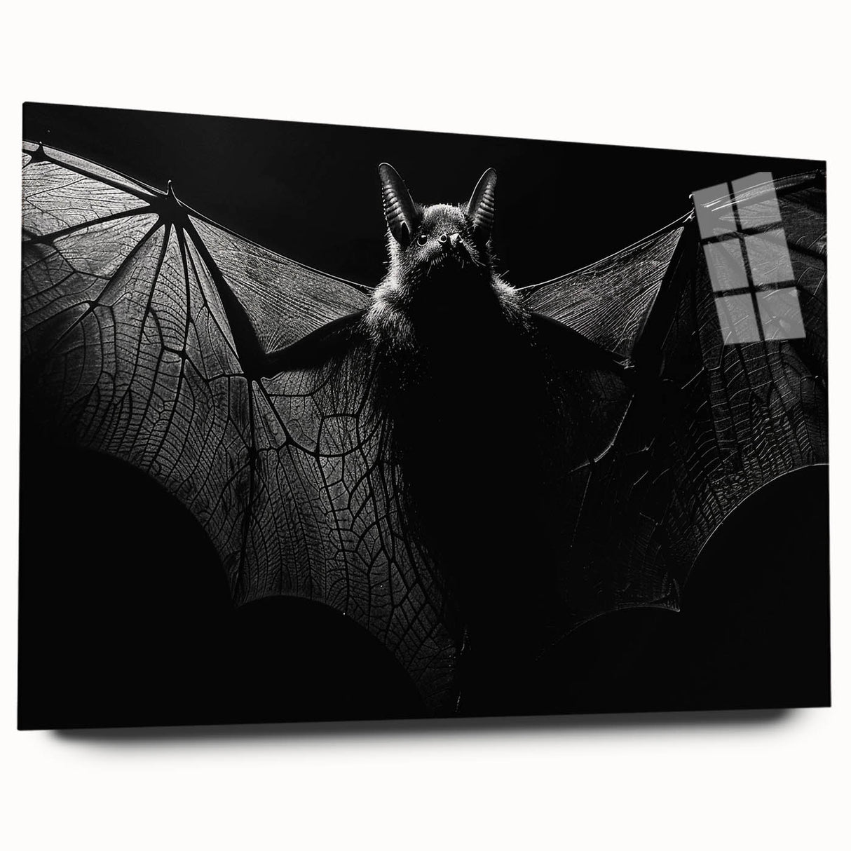 Acrylic glass wall art featuring a unique bat design from the 'Animals A Wild Life' collection, showcasing vibrant colors and intricate details, perfect for modern decor.