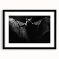 Black-framed wall art featuring a detailed bat design from the "Animals A Wild Life" collection, set against a white mat, ideal for nature-themed decor.