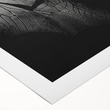 Rolled canvas showcasing a striking bat design from the "Animals A Wild Life" collection, featuring vibrant colors and intricate details, ideal for wildlife enthusiasts.