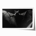 Rolled print of a bat-themed wall art design, showcasing intricate details and vibrant colors, perfect for animal lovers and wildlife decor enthusiasts.