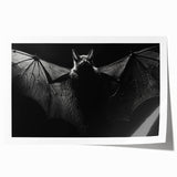 Rolled print of a bat-themed wall art design, showcasing intricate details and vibrant colors, perfect for animal lovers and wildlife decor enthusiasts.
