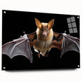 Acrylic glass wall art featuring a colorful bat design from the 'Animals A Wild Life' collection, displayed in a modern setting with decorative pins.