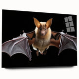 Acrylic glass wall art featuring a detailed design of a bat, showcasing intricate patterns and textures, ideal for wildlife-themed decor or nature enthusiasts.