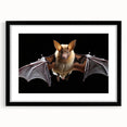 Black-framed wall art featuring a bat design from the 'A Wild Life' collection, showcasing intricate details and textures, perfect for nature-themed decor.