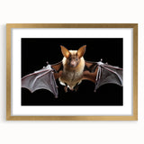 Framed wall art showcasing a bat design from the "Animals: A Wild Life" collection, featuring a gold frame and mat, perfect for nature-themed decor in any setting.