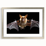 Framed wall art featuring a striking bat design from the "A Wild Life" collection, showcasing intricate details and a silver frame, ideal for animal lovers and nature-themed decor.