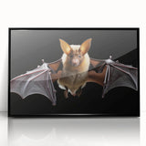 Framed wall art featuring a striking bat design in a black acrylic frame, showcasing intricate details and vibrant colors, perfect for wildlife enthusiasts and home decor.