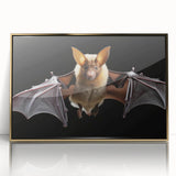 Framed acrylic wall art featuring a striking bat design from the "Animals A Wild Life" collection, showcasing intricate details and a gold border, perfect for wildlife enthusiasts and modern decor.