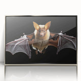 Framed wall art showcasing a detailed bat design with vibrant colors and a silver-acrylic finish, perfect for wildlife enthusiasts and modern decor.