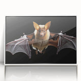 Framed wall art featuring a bat design from the "Animals A Wild Life" collection, presented in a sleek white frame with a clear acrylic front, ideal for nature enthusiasts.