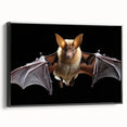 Framed wall art canvas featuring a striking bat design in a black frame, showcasing vibrant colors and intricate detailing, perfect for wildlife enthusiasts and home decor.