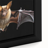 Close-up of a framed canvas print showcasing a detailed bat design from the "Animals A Wild Life" collection, highlighting intricate textures and rich colors, perfect for wildlife enthusiasts.
