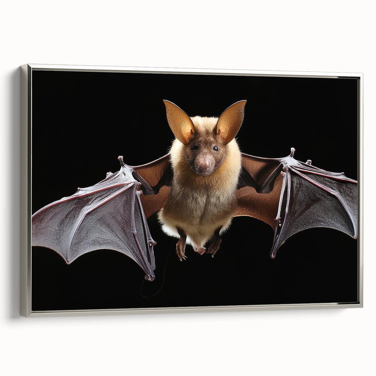 Framed wall art featuring a silver-bordered bat design from the "Animals A Wild Life" collection, showcasing intricate details and vibrant colors, perfect for animal lovers.