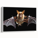 Framed wall art featuring a bat design in a wild life theme, showcasing intricate details and vibrant colors, perfect for animal lovers and home decor enthusiasts.