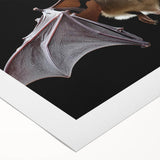 Rolled canvas showcasing a detailed bat design from a wildlife collection, featuring vibrant colors and intricate patterns, perfect for nature-inspired decor.
