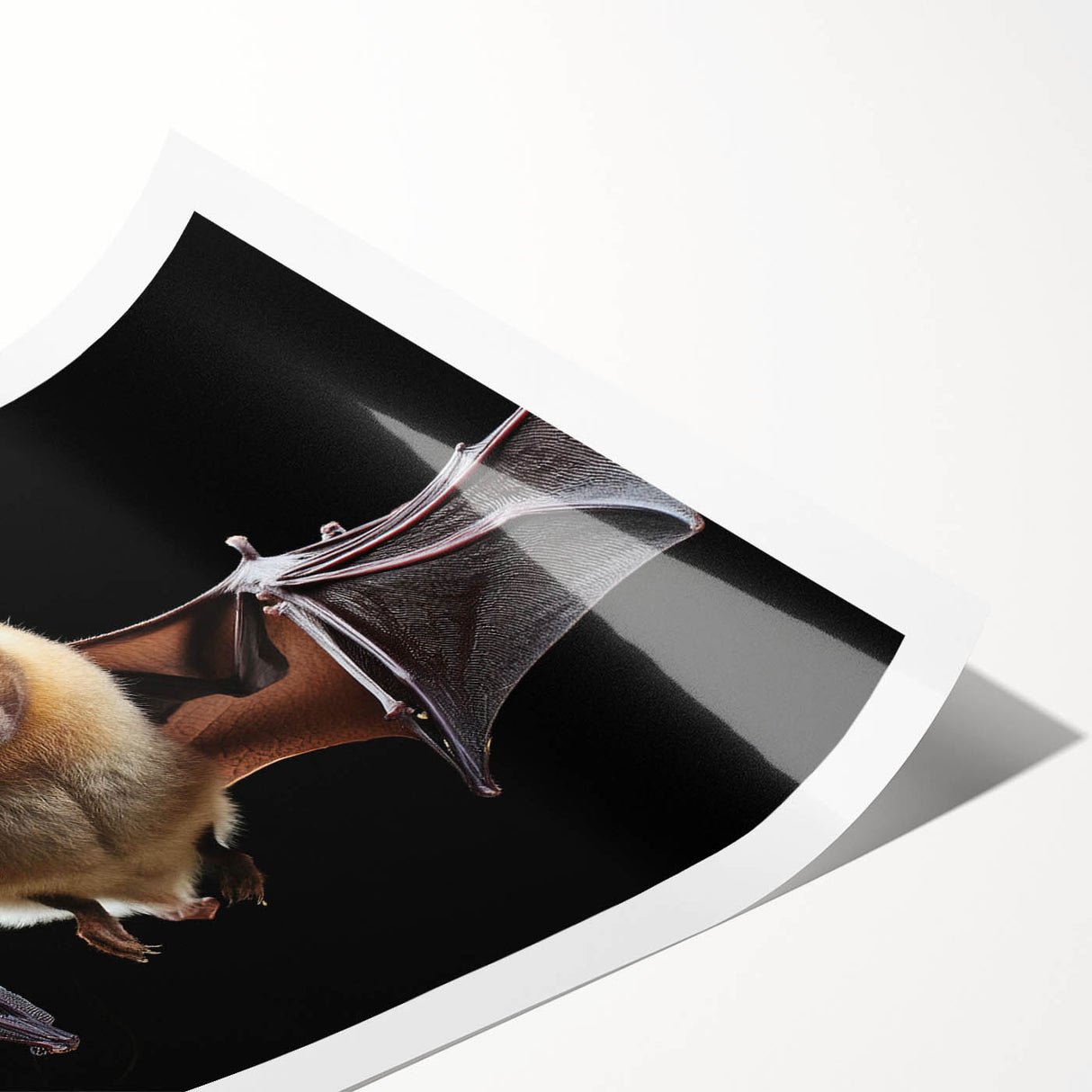 Bat-themed wall art print showcasing intricate wildlife design, featuring detailed illustrations in earthy tones, perfect for nature enthusiasts and home decor.
