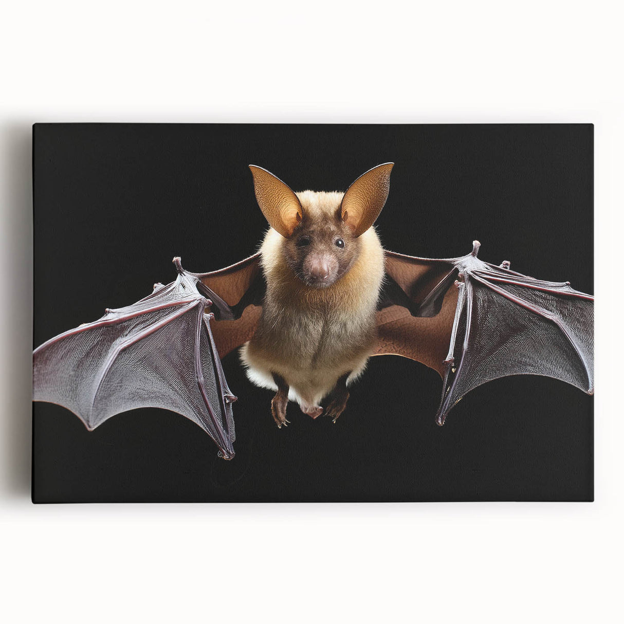 Stretched canvas wall art featuring a detailed bat design in earthy tones, showcasing intricate textures and patterns, perfect for wildlife enthusiasts' decor.