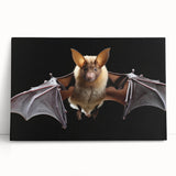 Wildlife-themed bat design stretched canvas wall art showcasing intricate details and earthy tones, displayed in a modern setting for an artistic touch.