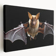 Stretched canvas wall art featuring a detailed bat design, showcasing vibrant colors and intricate textures, perfect for wildlife enthusiasts and modern decor.
