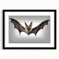 Black-framed wall art collection showcasing a detailed bat design, ideal for animal lovers and wildlife enthusiasts, enhancing home decor with a modern touch.