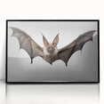 Framed acrylic wall art featuring a detailed bat design, showcasing intricate patterns in dark colors, perfect for wildlife enthusiasts and modern decor.