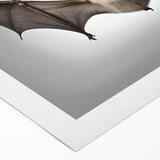 Rolled canvas showcasing a vibrant bat design from the Animals A Wild Life collection, featuring intricate details and bold colors, perfect for animal lovers' decor.