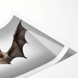 Bat-themed wall art print showcasing a detailed design of various bat species in a natural setting, rolled for easy display and shipping, ideal for wildlife enthusiasts.