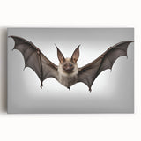 Stretched canvas wall art showcasing a vibrant bat design from the 'Animals A Wild Life' collection, featuring rich colors and intricate details, perfect for nature-themed decor.