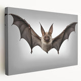 Stretched canvas wall art featuring a bat design from the "Animals: A Wild Life" collection, showcasing intricate details and vibrant colors, perfect for nature enthusiasts.