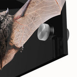 Close-up of an acrylic glass wall art piece featuring a detailed bat design against a vibrant background, showcasing intricate textures and colors ideal for wildlife enthusiasts.