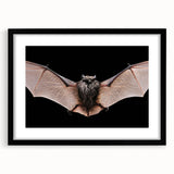 Black-framed wall art featuring a detailed bat design from the "Animals: A Wild Life" collection, showcasing intricate illustrations perfect for nature-themed decor.